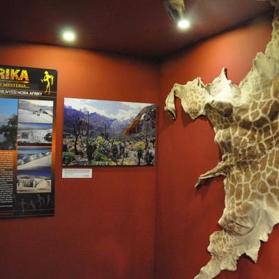 Vystava Afrika 2011 Napajedla16