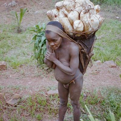 Image009