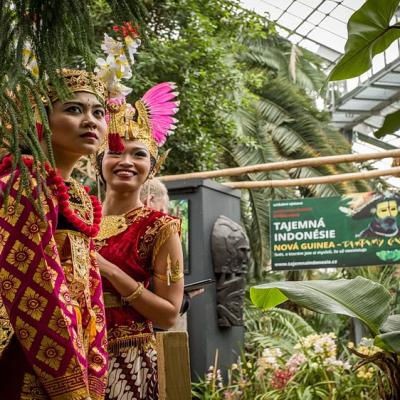 Tajemna Indonesie 8