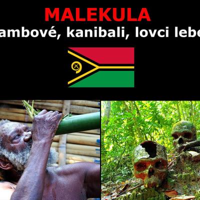 49 A Malekula
